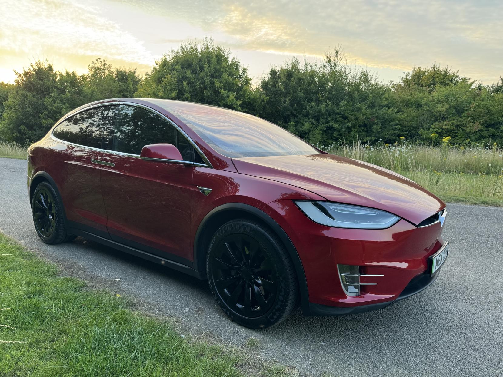 Tesla Model X (Dual Motor) Standard Range SUV 5dr Electric Auto 4WDE (328 bhp)